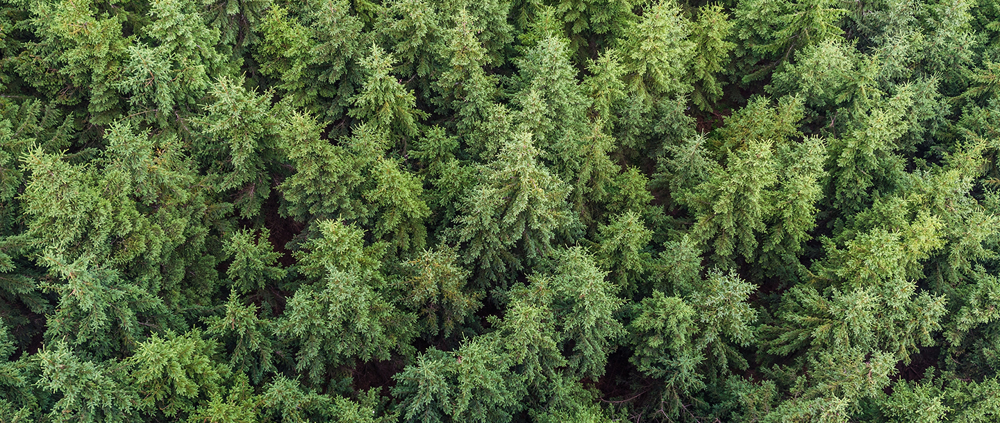 Sustainability
